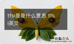 tfsi是是什么意思 tfsi英文