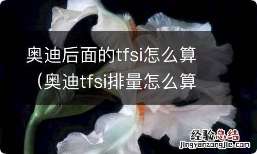 奥迪tfsi排量怎么算 奥迪后面的tfsi怎么算