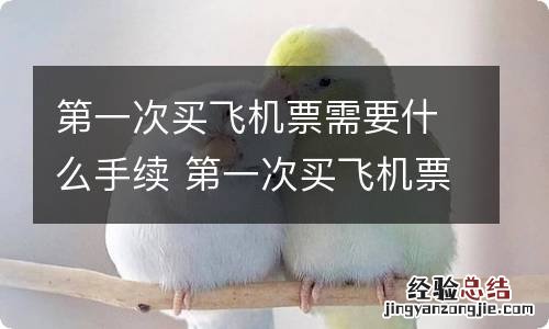 第一次买飞机票需要什么手续 第一次买飞机票需要什么手续费