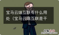 宝马云端互联是干什么的 宝马云端互联有什么用处