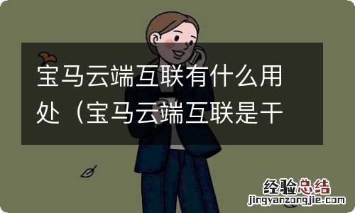 宝马云端互联是干什么的 宝马云端互联有什么用处