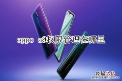 oppo a9权限管理在哪里