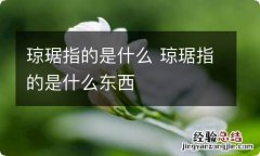 琼琚指的是什么 琼琚指的是什么东西