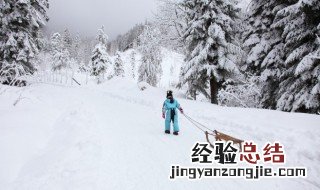 俄罗斯族民居特点 俄罗斯典型的传统民居