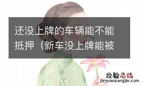 新车没上牌能被别人做抵押吗 还没上牌的车辆能不能抵押