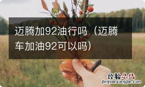 迈腾车加油92可以吗 迈腾加92油行吗