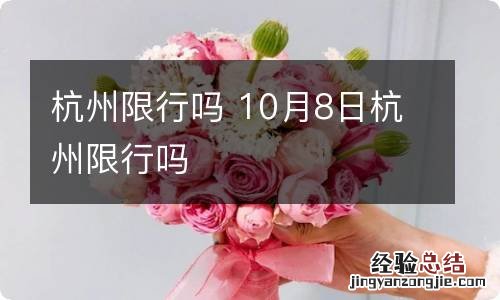 杭州限行吗 10月8日杭州限行吗