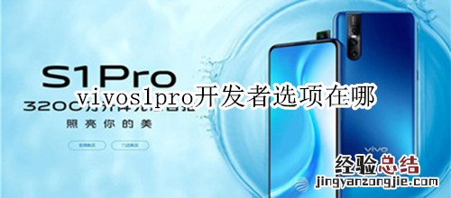 vivos1pro开发者选项在哪