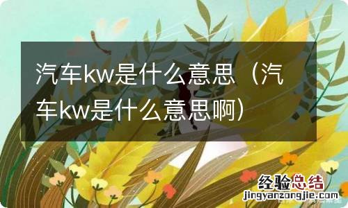 汽车kw是什么意思啊 汽车kw是什么意思