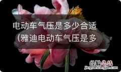 雅迪电动车气压是多少合适 电动车气压是多少合适