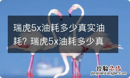 瑞虎5x油耗多少真实油耗? 瑞虎5x油耗多少真实油耗多少