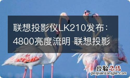 联想投影仪LK210发布：4800亮度流明 联想投影仪tl180