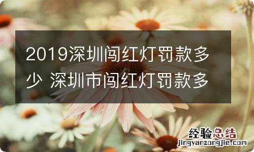 2019深圳闯红灯罚款多少 深圳市闯红灯罚款多少