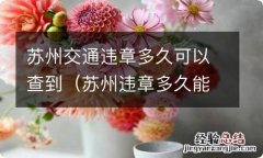 苏州违章多久能查到 苏州交通违章多久可以查到