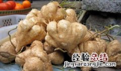 广东土瓜种植时间和方法? 广东土瓜种植时间和方法