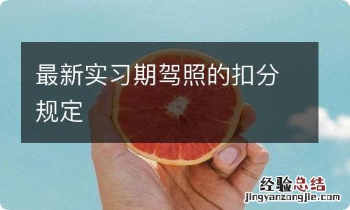 最新实习期驾照的扣分规定