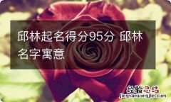 邱林起名得分95分 邱林名字寓意