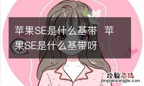 苹果SE是什么基带苹果SE是什么基带呀