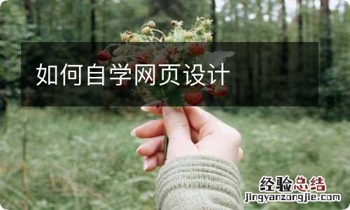 如何自学网页设计