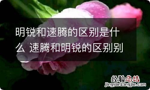 明锐和速腾的区别是什么 速腾和明锐的区别别吗