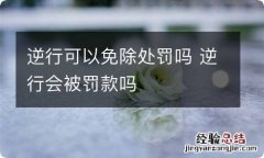 逆行可以免除处罚吗 逆行会被罚款吗