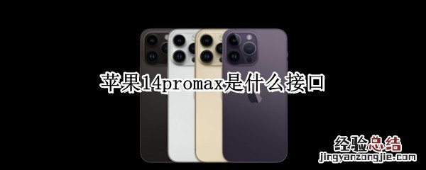 12promax 接口 苹果14promax是什么接口