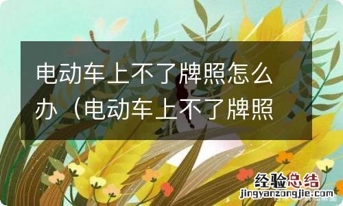 电动车上不了牌照怎么办手续 电动车上不了牌照怎么办