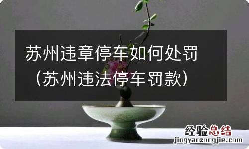 苏州违法停车罚款 苏州违章停车如何处罚