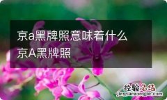 京a黑牌照意味着什么 京A黑牌照