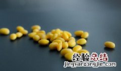 种黄豆技术和方法 种植黄豆的方法及注意事项