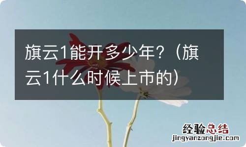 旗云1什么时候上市的 旗云1能开多少年?