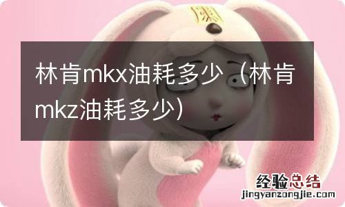 林肯mkz油耗多少 林肯mkx油耗多少