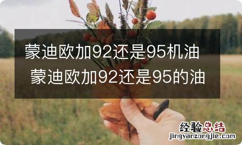 蒙迪欧加92还是95机油 蒙迪欧加92还是95的油