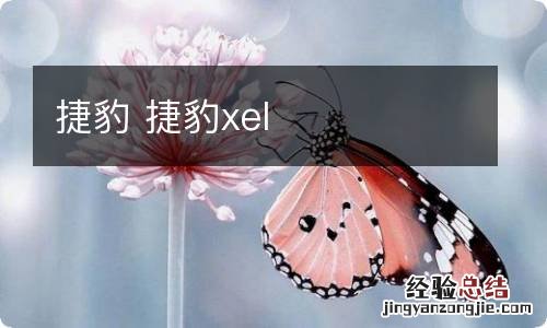 捷豹 捷豹xel