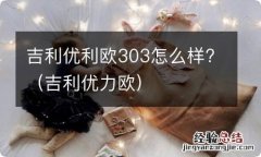 吉利优力欧 吉利优利欧303怎么样?