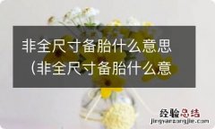 非全尺寸备胎什么意思 非全尺寸备胎什么意思