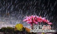 北方有梅雨季节吗 北方有梅雨时节吗