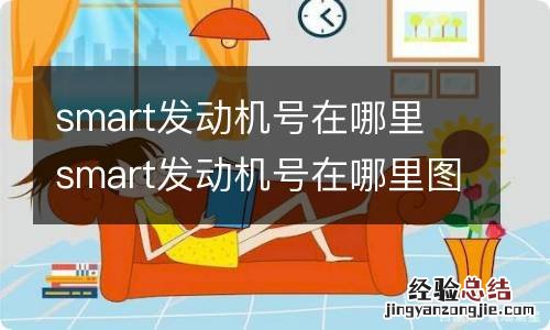 smart发动机号在哪里 smart发动机号在哪里图片