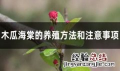 木瓜海棠的正确养殖方法 木瓜海棠的养殖方法和注意事项