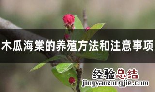 木瓜海棠的正确养殖方法 木瓜海棠的养殖方法和注意事项