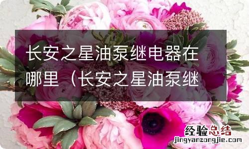 长安之星油泵继电器信号线从哪里过来的 长安之星油泵继电器在哪里