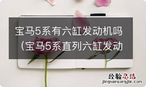 宝马5系直列六缸发动机怎么样 宝马5系有六缸发动机吗