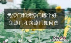 免漆门和烤漆门哪个好 免漆门和烤漆门如何选择