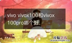 vivo vivox100和vivox100pro哪个好