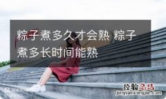 粽子煮多久才会熟 粽子煮多长时间能熟