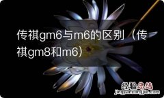 传祺gm8和m6 传祺gm6与m6的区别