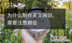 为什么制作英文网站，需要注意哪些