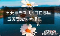 五菱宏光0bd接口在哪里 五菱宏光sobd接口