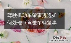 驾驶车辆肇事逃逸怎么处理 驾驶机动车肇事逃逸如何处理