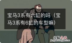 宝马3系有6缸的车型嘛 宝马3系有六缸的吗